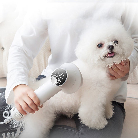 Smart Pet Hair Dryer Dog Golden Retriever Cat Grooming Hairdressing Blow & Comb Silent No Harm Pet Cleaning Supplies Pet Products